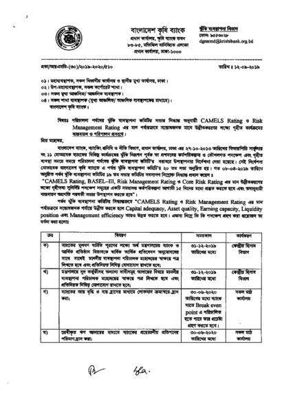 Camels Rating Risk Management Rating Bangladesh Krishi Bank